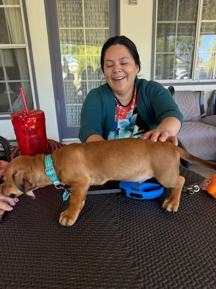 Caregiver enjoying time with therapy dog on outdoor patio
